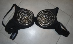 new tack bra completed.jpg